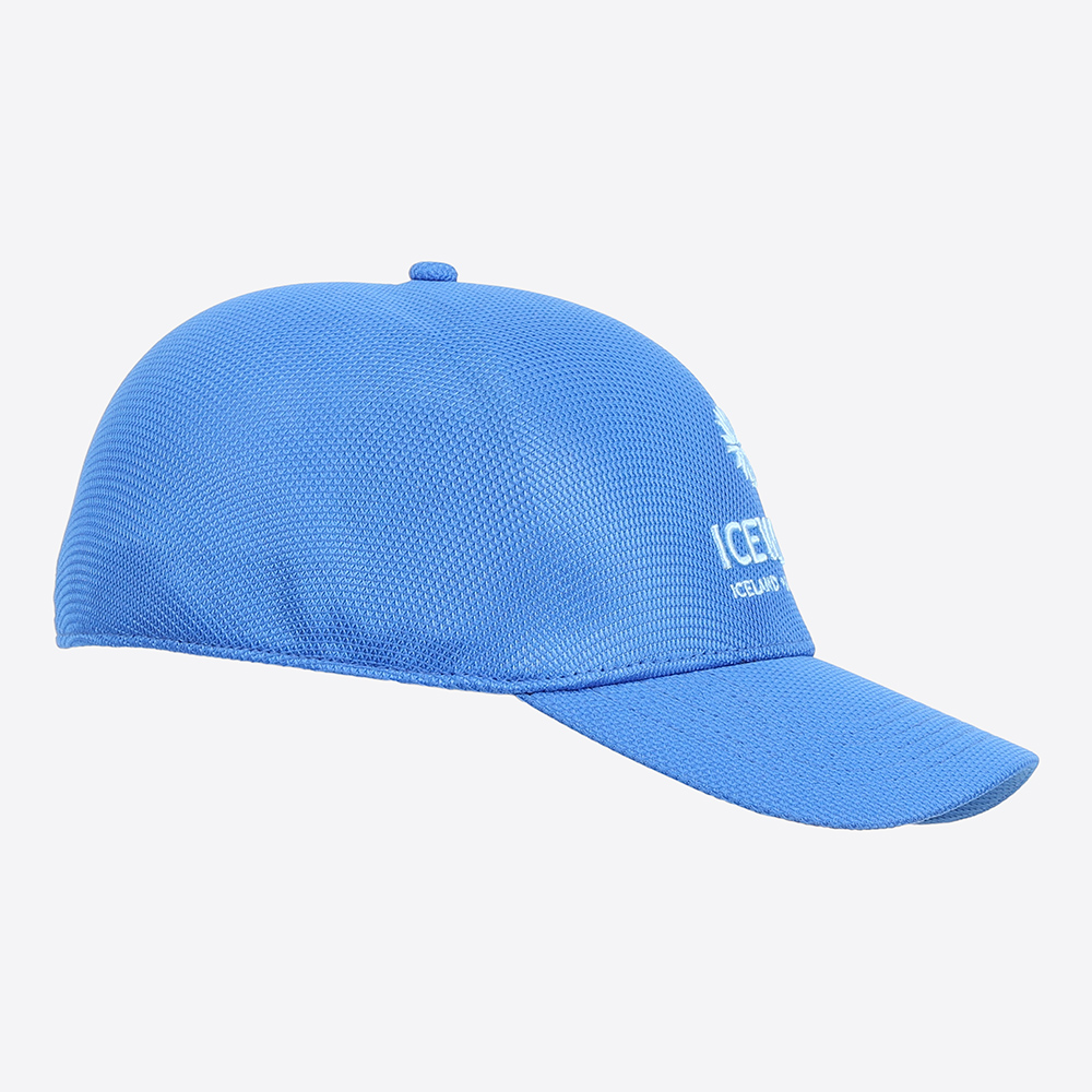 Steinhella cap
