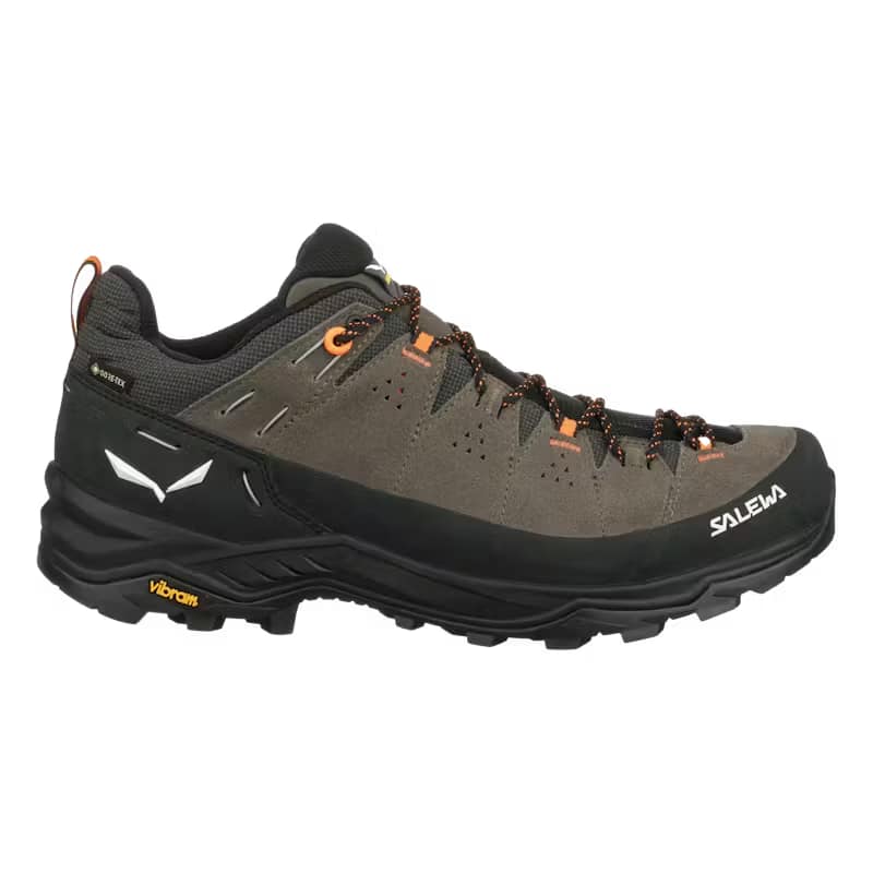 Salewa Gore-Tex men's hiking shoes Alp Trainer 2