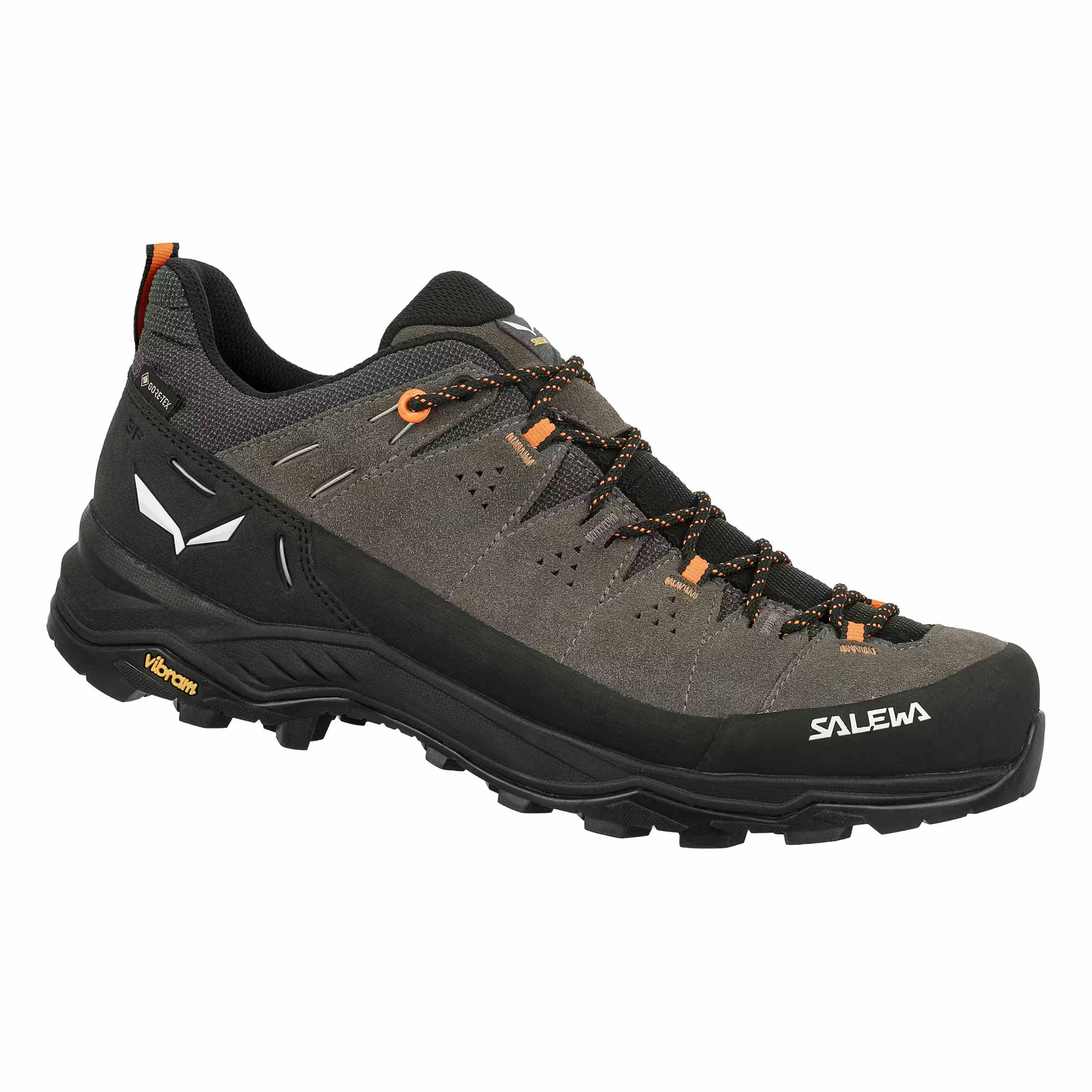 Salewa Gore-Tex men's hiking shoes Alp Trainer 2