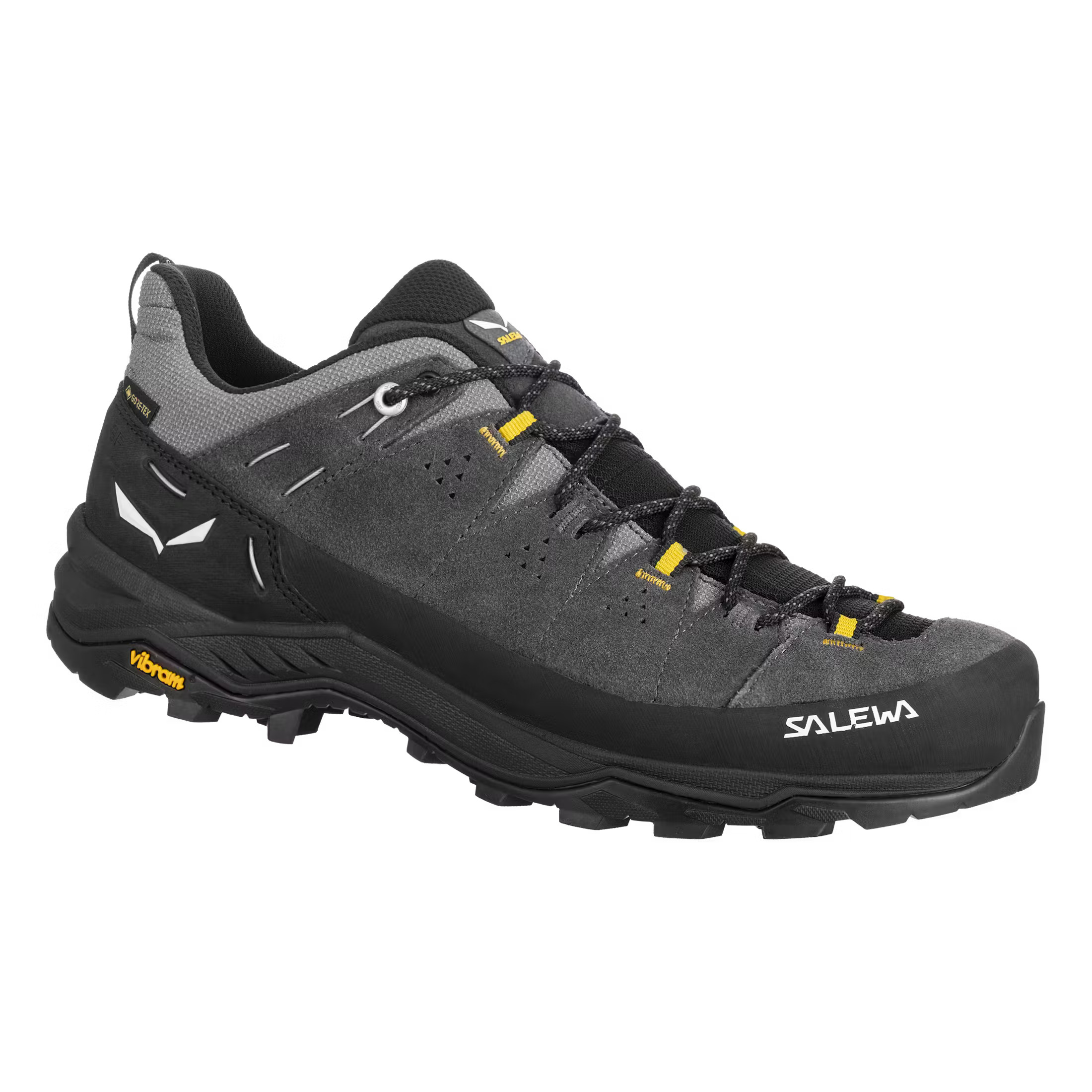 Salewa Gore-Tex men's hiking shoes Alp Trainer 2